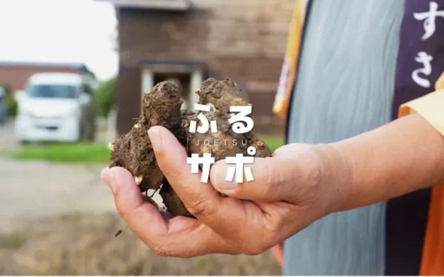 上越市「ふるサポ上越」が2年目へ 市民参加で農産物の販路拡大と首都圏イベント開催