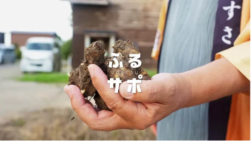 上越市「ふるサポ上越」が2年目へ 市民参加で農産物の販路拡大と首都圏イベント開催