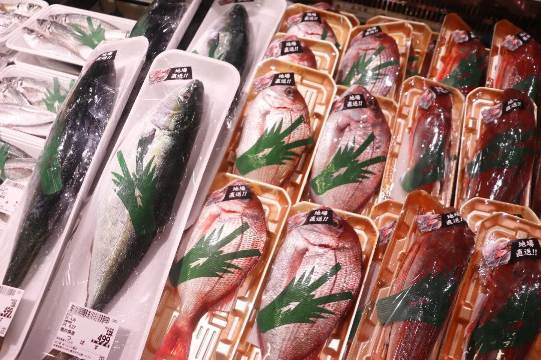 鮮魚コーナー