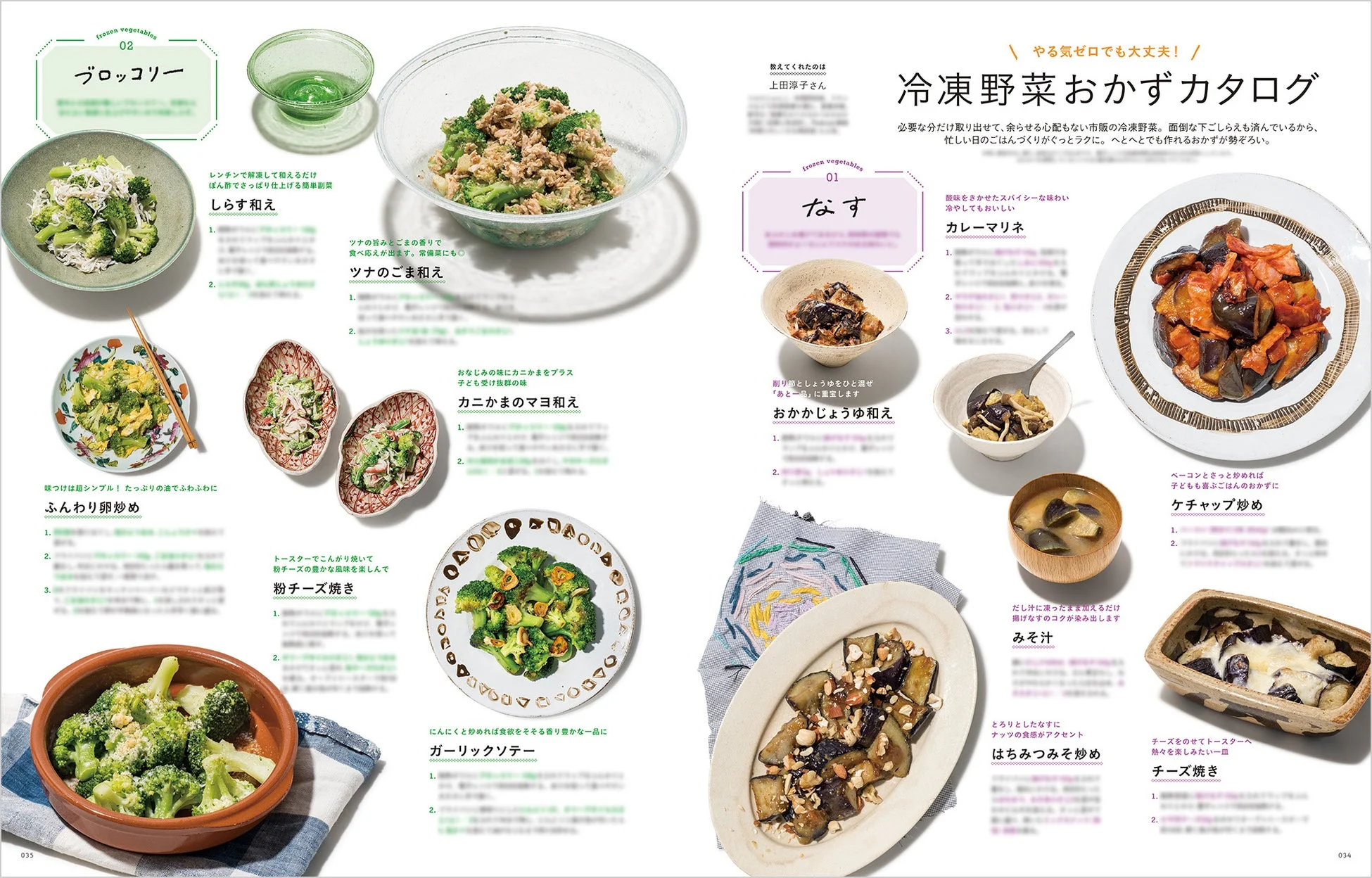 冷凍野菜おかずカタログ