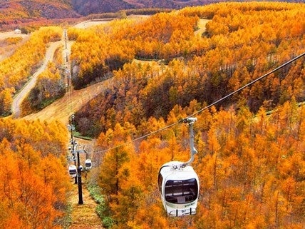 紅葉の裏磐梯をロープウェイで空中散歩　JAFアプリクーポンで往復料金が500円引に