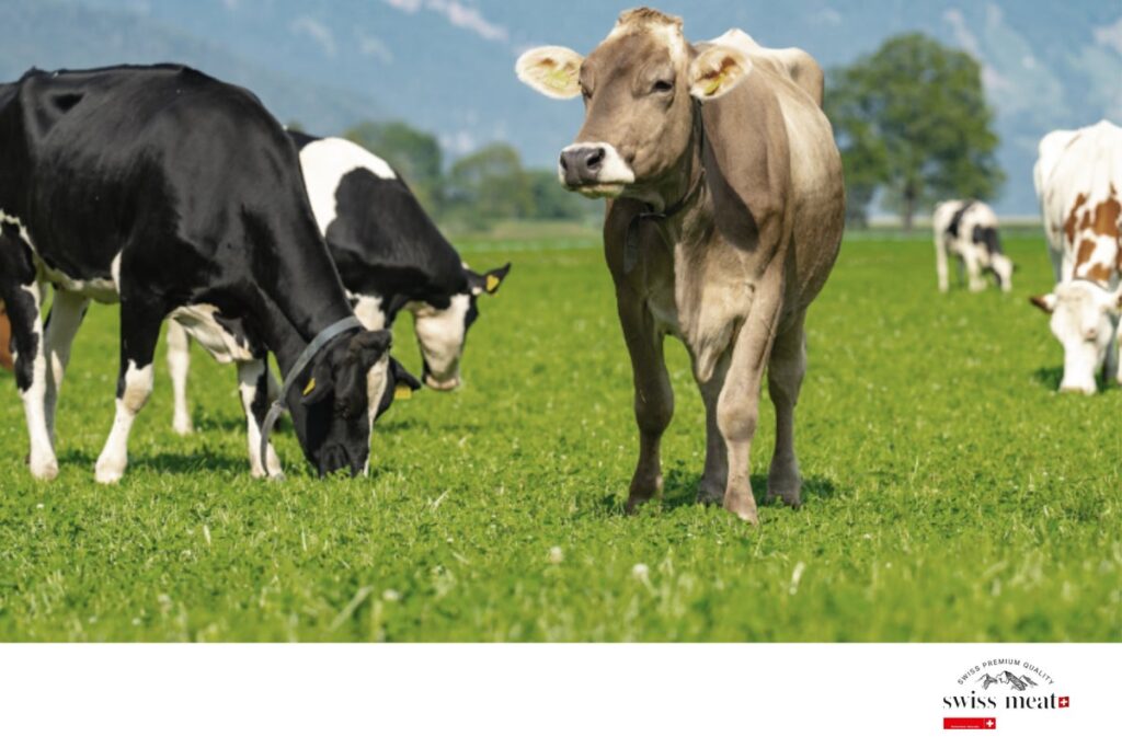 「swiss meat」、焼肉ビジネスフェア2026大阪に出展