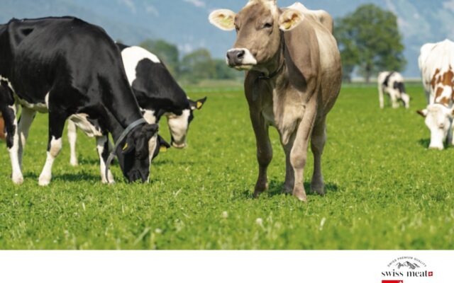 「swiss meat」、焼肉ビジネスフェア2026大阪に出展