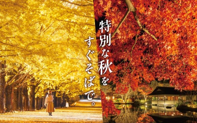 黄葉・紅葉まつり＆秋の夜散歩2026開催｜国営昭和記念公園