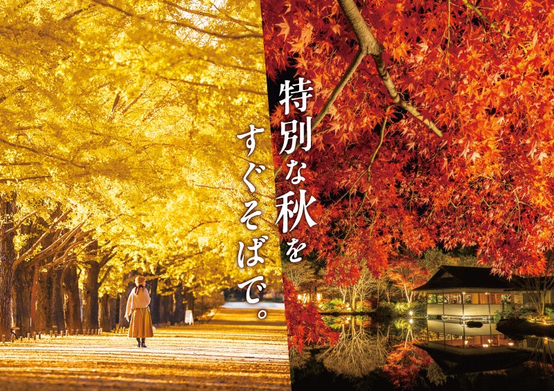 黄葉・紅葉まつり＆秋の夜散歩2026開催｜国営昭和記念公園