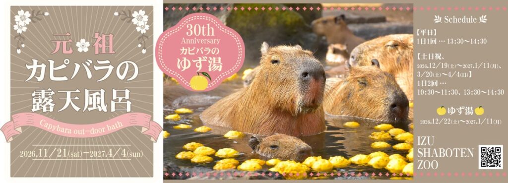 “伊豆の冬の風物詩” 伊豆シャボテン動物公園で「元祖カピバラの露天風呂」イベント開催！ 2026.11/21(土)風呂開き！ 恒例「カピバラのゆず湯」は30周年！！