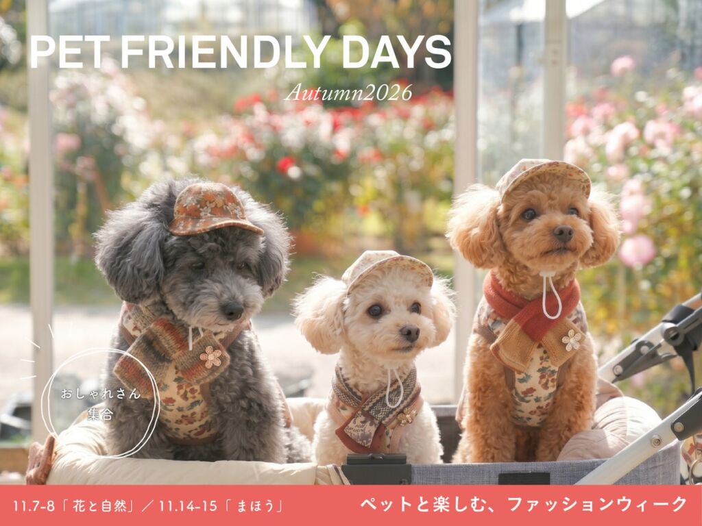 【夜間初開催】愛犬と秋の花とおしゃれを楽しむ4日間！いばらきフラワーパーク「ペットフレンドリーデイズAutumn2026」